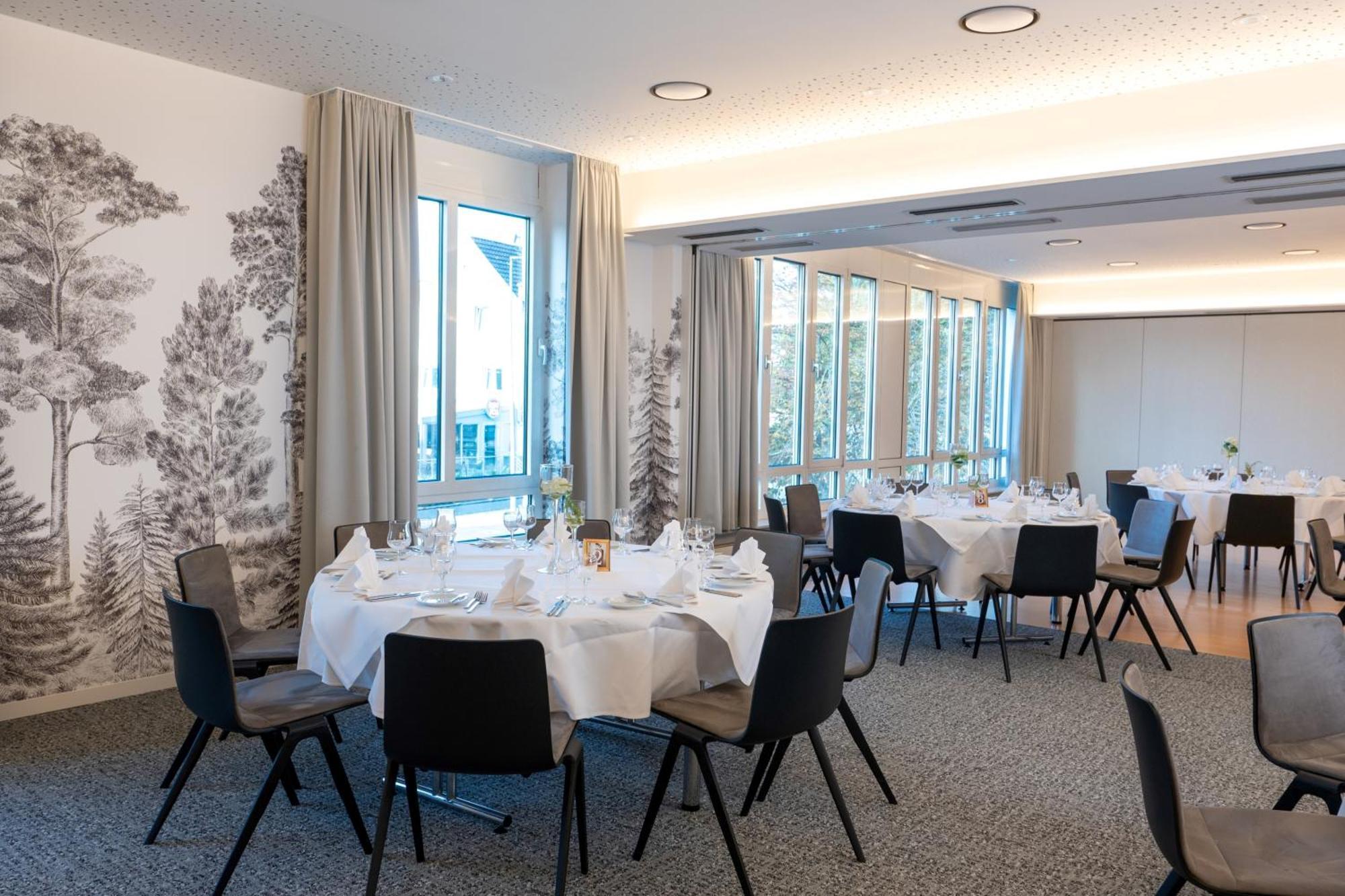 Erikson Hotel Зинделфинген Екстериор снимка